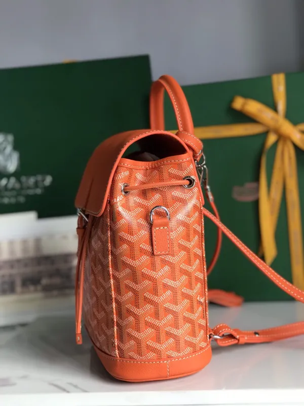Borsa GOYARD Alpin  020195  18.5x21.5x8.5 cm