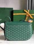 Borsa GOYARD 020213 25x17x8cm