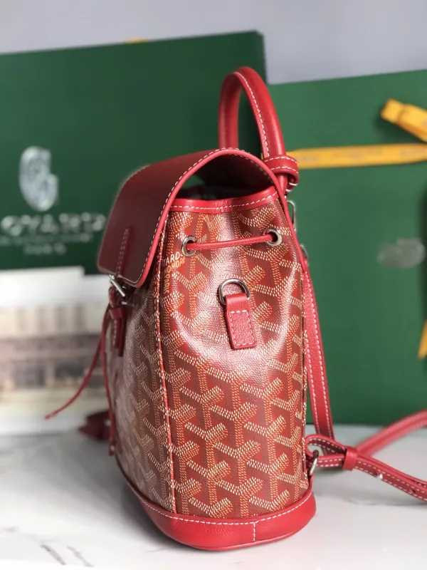 Borsa GOYARD Alpin  020195  18.5x21.5x8.5 cm