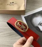 Cintura GUCCI 2024' 3cm
