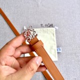 Cintura Loewe 2024' 2cm