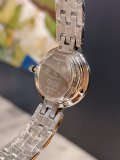 OROLOGI DIOR