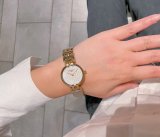 OROLOGI DIOR