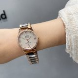 OROLOGI Omega