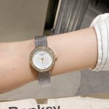 OROLOGI DIOR