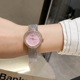 OROLOGI DIOR