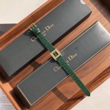 OROLOGI DIOR