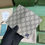 GG  768249  12X7,5CM