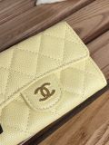 Chanel 2024'  AP0214 11x8.5x3cm