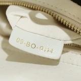 Lady Dior My abcdior 20×17×8