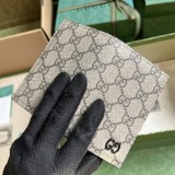 GG  768249  12X7,5CM