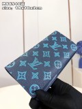 LV  M66540 19x10x2cm