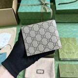 GG 768243 11X9CM