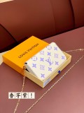 LV M69977 21.0 x 12.0 x 3.0 cm