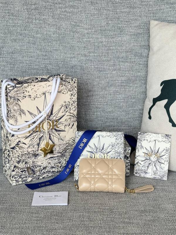 Dior Caro S5034  9x11cm