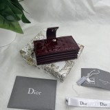Dior 2024' S0074 10.4×7×2cm