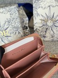 Dior Caro S5034  9x11cm