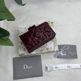 Dior 2024' S0074 10.4×7×2cm
