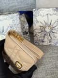 Dior Caro S5034  9x11cm