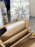 Dior Caro S5034  9x11cm