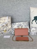 Borsa/Portafoglio a Catena Dior S5617