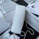 Borsa CC AS2431 20x12x6cm