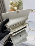 Pochette con catena Daily my Dior M030