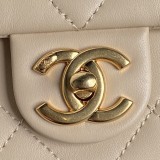 Borsa a spalla CC AS5176  22cm 