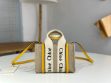Borsa Chloé 7666 20cm e 26cm