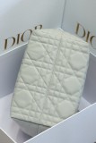 Borsa Dior M2821  28.5 X 21.5 X 19CM