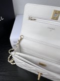 Borsa Chanel AP3964 19cm