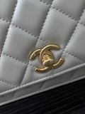 Borsa Chanel AP3964 19cm