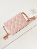 Borsa Chanel AS4423  20x15x5cm