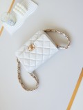 Borsa Chanel AS4423  20x15x5cm