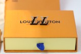 Orecchini LV box incluso