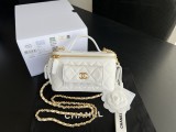 Borsa Chanel AP3017  17X10x8cm