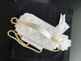 Borsa Chanel AP3017  17X10x8cm