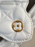 LV Capucines M48865 22x12x8cm