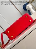 LV Capucines M48865 22x12x8cm