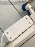 LV Capucines M48865 22x12x8cm