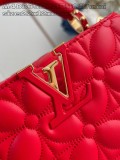 LV Capucines M48865 22x12x8cm