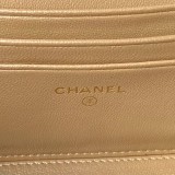 Trousse Chanel AP3940 17cm