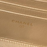 Trousse Chanel AP3940 17cm