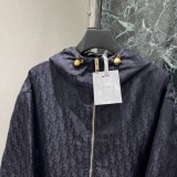 Dior #P330
