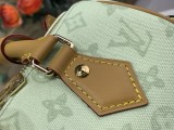 M27951 Speedy Bandoulière 20 20.5 x 13.5 x 12 cm