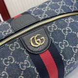 Gucci Vanity 27.5cm x 13cm x 14.5cm