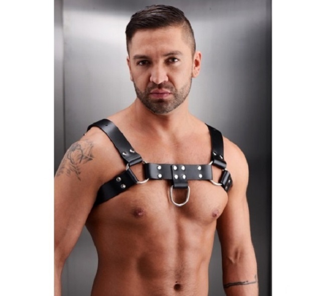 English Bull Dog Leather Chest Harness