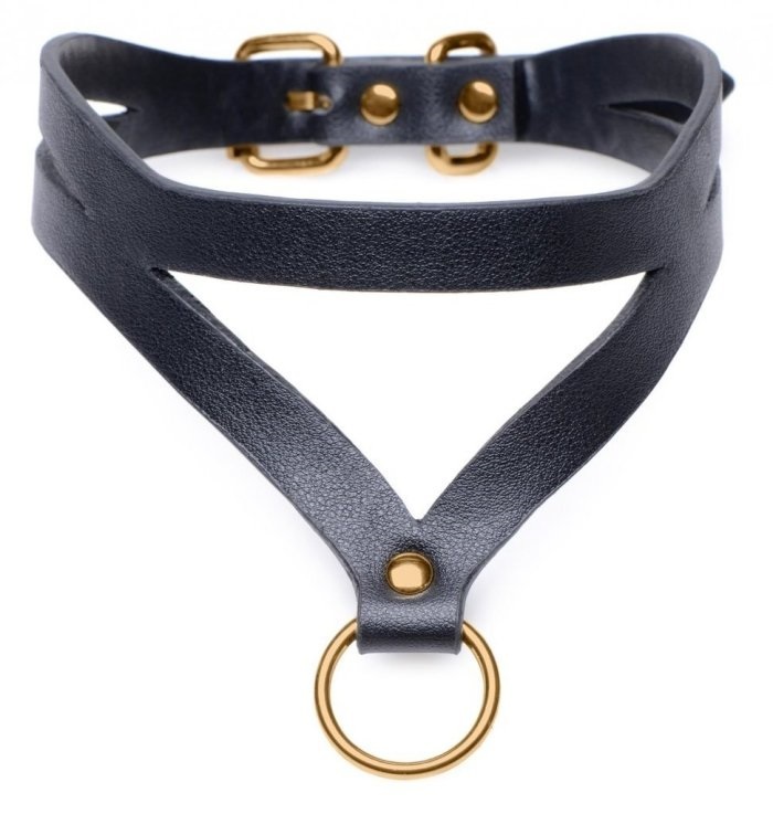 Sexbuyer Black And Gold Collar With Leash Kit