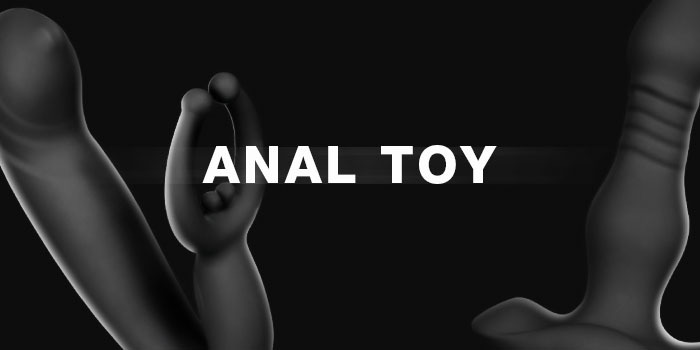 ANAL TOY