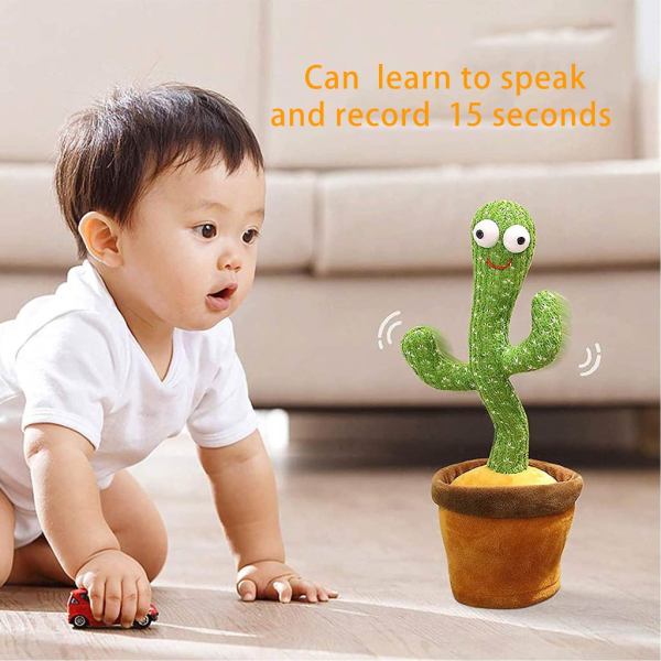 kaktus toys